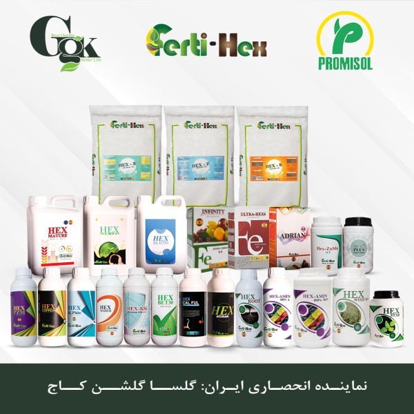 Golsa Golshan Kaj Co.